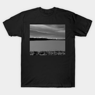 Winter scene towards the mountains in black and white T-Shirt